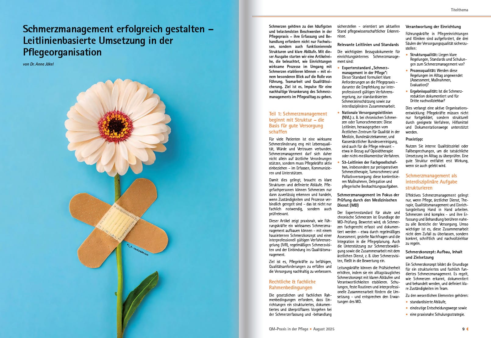 schmerzmanagement-01 schmerzmanagement-01